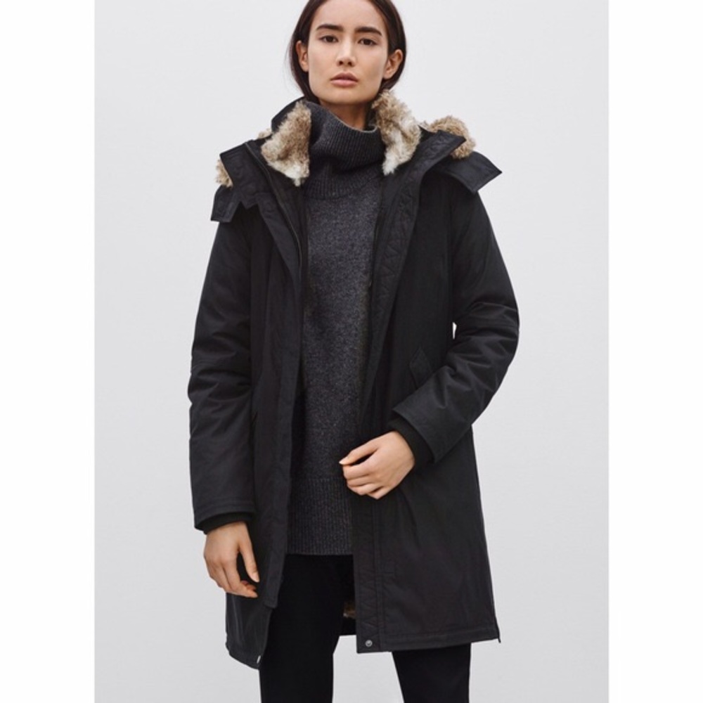 Aritzia Babaton Parka